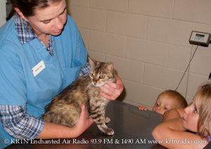 Dr. Kristi Brown New Vet at Raton Animal Hospital with Bailey Kitty